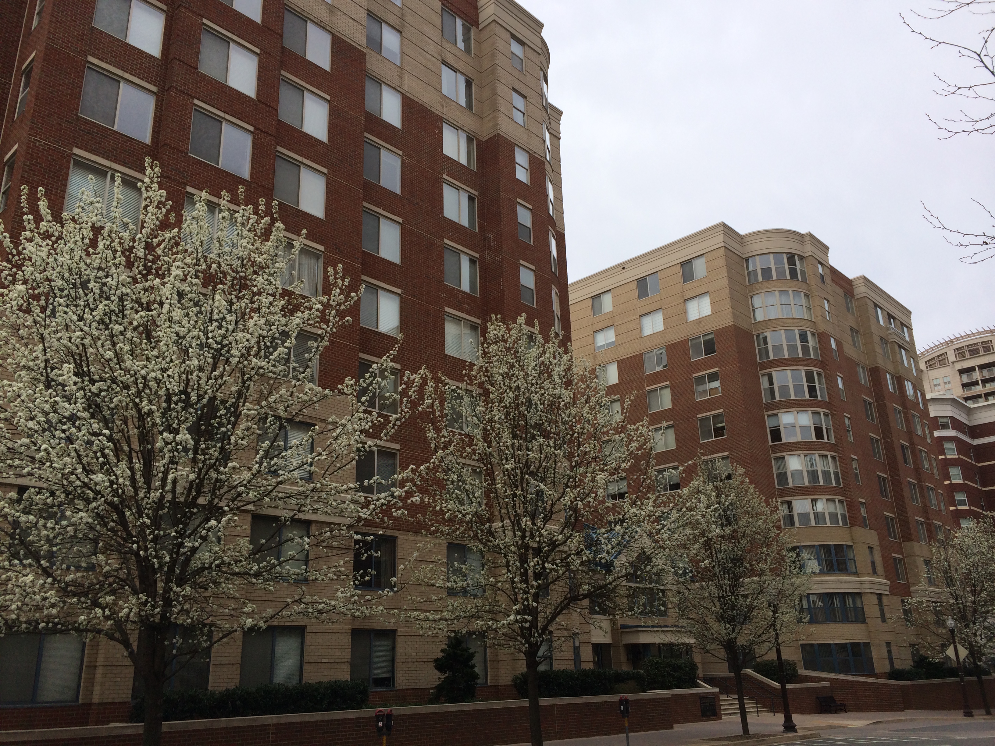 How's Lexington Square Doing in 2014?